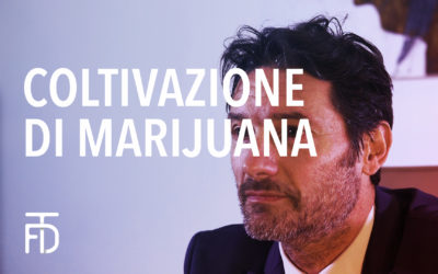 Coltivazione di Marijuana – Corte di cassazione, Sezioni unite penali, Sentenza 19 dicembre 2019, n. 12348